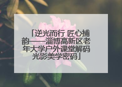 逆光而行 匠心捕韵——淄博高新区老年大学户外课堂解码光影美学密码