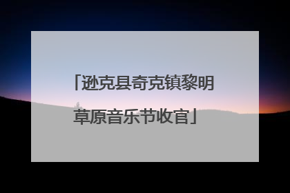 逊克县奇克镇黎明草原音乐节收官