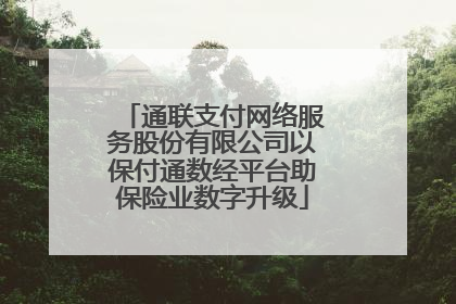 通联支付网络服务股份有限公司以保付通数经平台助保险业数字升级