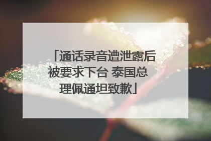 通话录音遭泄露后被要求下台 泰国总理佩通坦致歉