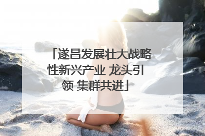 遂昌发展壮大战略性新兴产业 龙头引领 集群共进