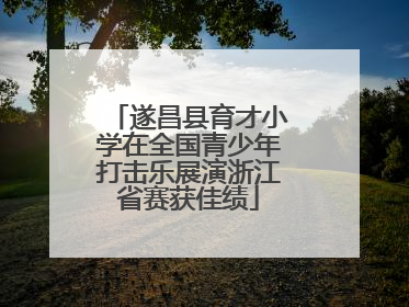 遂昌县育才小学在全国青少年打击乐展演浙江省赛获佳绩