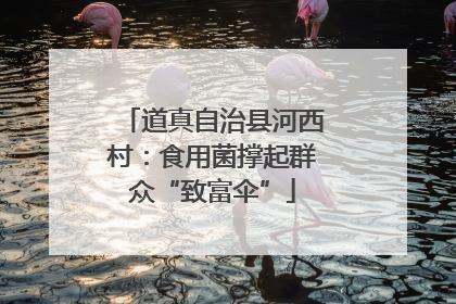 道真自治县河西村：食用菌撑起群众“致富伞”