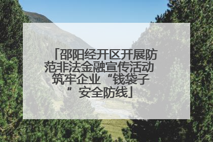 邵阳经开区开展防范非法金融宣传活动 筑牢企业“钱袋子”安全防线