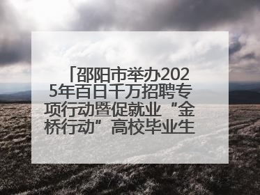 邵阳市举办2025年百日千万招聘专项行动暨促就业“金桥行动”高校毕业生专场招聘会