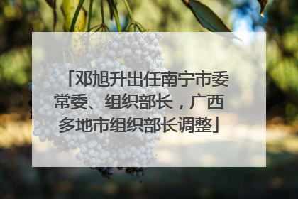 邓旭升出任南宁市委常委、组织部长，广西多地市组织部长调整