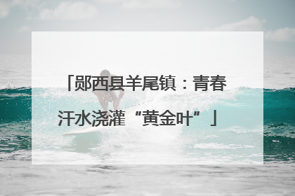 郧西县羊尾镇：青春汗水浇灌“黄金叶”