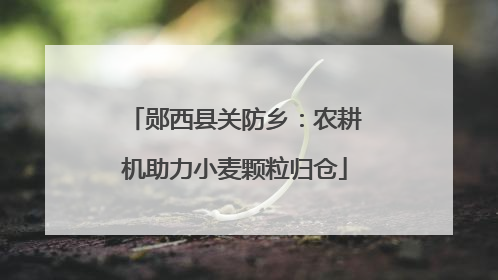 郧西县关防乡：农耕机助力小麦颗粒归仓