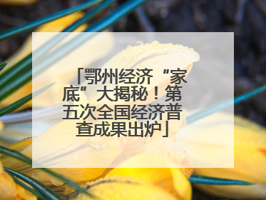 鄂州经济“家底”大揭秘！第五次全国经济普查成果出炉