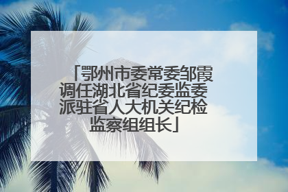 鄂州市委常委邹霞调任湖北省纪委监委派驻省人大机关纪检监察组组长