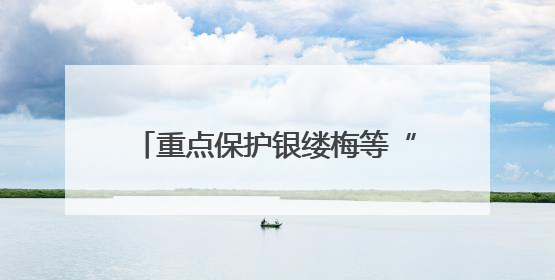 重点保护银缕梅等“国宝”，不得擅自引进、释放或丢弃外来物种……江苏立法保护身边的生物“朋友圈”