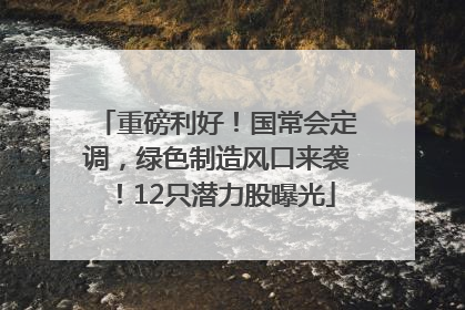 重磅利好！国常会定调，绿色制造风口来袭！12只潜力股曝光