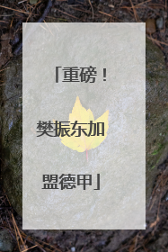 重磅！樊振东加盟德甲