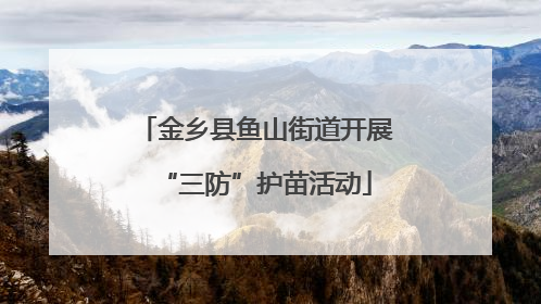 金乡县鱼山街道开展“三防”护苗活动