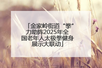 金家岭街道“拳”力助阵2025年全国老年人太极拳健身展示大联动