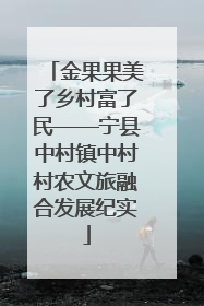 金果果美了乡村富了民——宁县中村镇中村村农文旅融合发展纪实