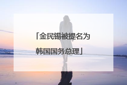 金民锡被提名为韩国国务总理