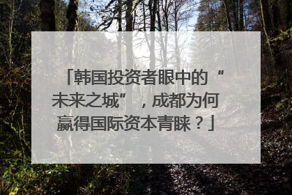 韩国投资者眼中的“未来之城”，成都为何赢得国际资本青睐？