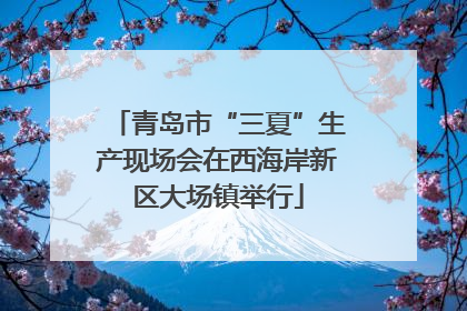 青岛市“三夏”生产现场会在西海岸新区大场镇举行