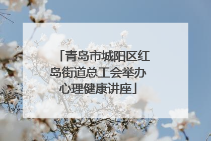 青岛市城阳区红岛街道总工会举办心理健康讲座