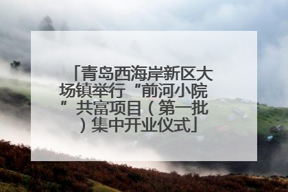 青岛西海岸新区大场镇举行“前河小院”共富项目（第一批）集中开业仪式