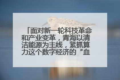 面对新一轮科技革命和产业变革，青海以清洁能源为主线，紧抓算力这个数字经济的“血液”、科技主权的“筹码”、产业升级的“杠杆”、绿色转型的“支点”，勇于撬动国家“双碳”战略、“东数西算”工程重大发展新机遇