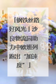 钢铁丝路好风光丨沙良物流园助力中欧班列跑出“加速度”