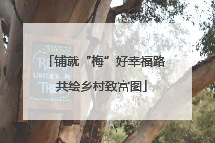铺就“梅”好幸福路 共绘乡村致富图