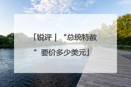 锐评｜“总统特赦”要价多少美元