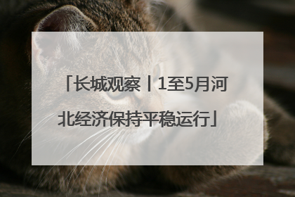 长城观察丨1至5月河北经济保持平稳运行