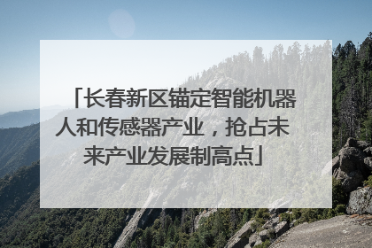 长春新区锚定智能机器人和传感器产业，抢占未来产业发展制高点