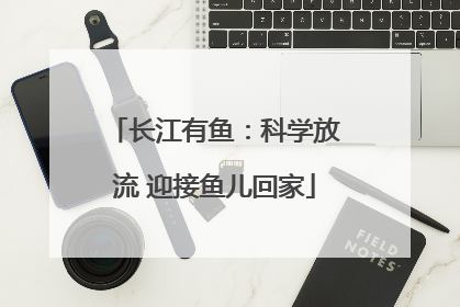 长江有鱼：科学放流 迎接鱼儿回家