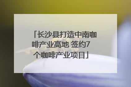 长沙县打造中南咖啡产业高地 签约7个咖啡产业项目