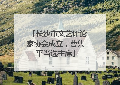 长沙市文艺评论家协会成立，曹隽平当选主席