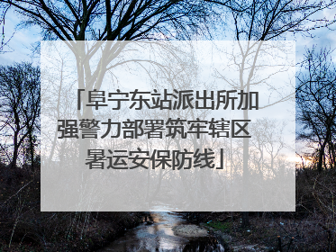 阜宁东站派出所加强警力部署筑牢辖区暑运安保防线