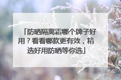 防晒隔离霜哪个牌子好用？看看哪款更有效，精选好用防晒等你选