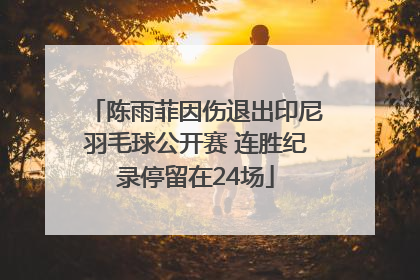 陈雨菲因伤退出印尼羽毛球公开赛 连胜纪录停留在24场