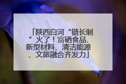 陕西白河“链长制”火了！富硒食品、新型材料、清洁能源、文旅融合齐发力