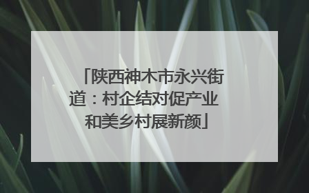 陕西神木市永兴街道：村企结对促产业 和美乡村展新颜