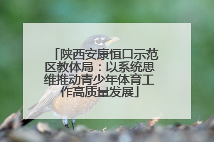 陕西安康恒口示范区教体局：以系统思维推动青少年体育工作高质量发展