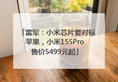 雷军：小米芯片要对标苹果，小米15SPro售价5499元起