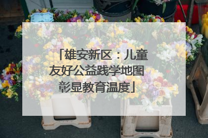 雄安新区：儿童友好公益践学地图彰显教育温度