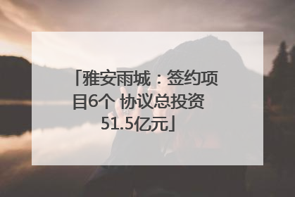 雅安雨城：签约项目6个 协议总投资51.5亿元