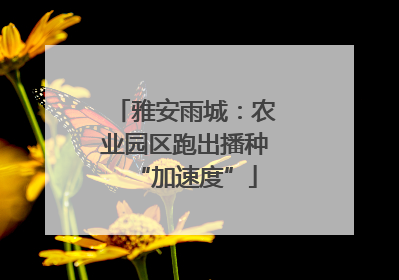 雅安雨城：农业园区跑出播种“加速度”