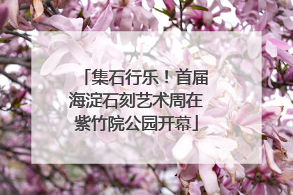 集石行乐！首届海淀石刻艺术周在紫竹院公园开幕