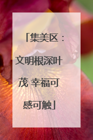 集美区：文明根深叶茂 幸福可感可触