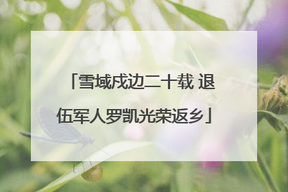 雪域戍边二十载 退伍军人罗凯光荣返乡