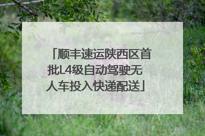 顺丰速运陕西区首批L4级自动驾驶无人车投入快递配送