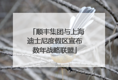 顺丰集团与上海迪士尼度假区宣布数年战略联盟