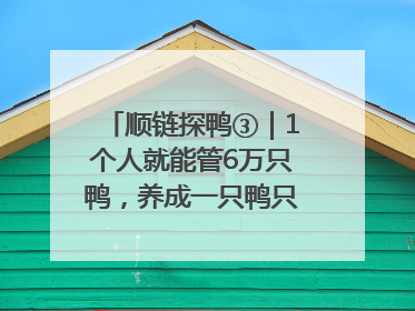 顺链探鸭③｜1个人就能管6万只鸭，养成一只鸭只需50多天